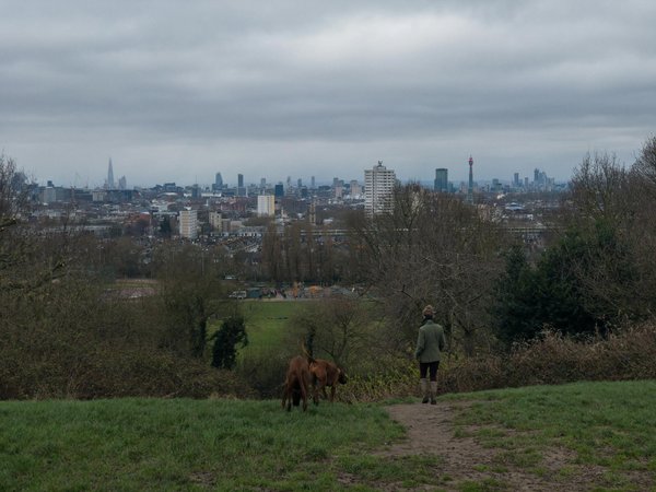 Nourriture pour crevettes et matériel d'aquarium : guide essentiel